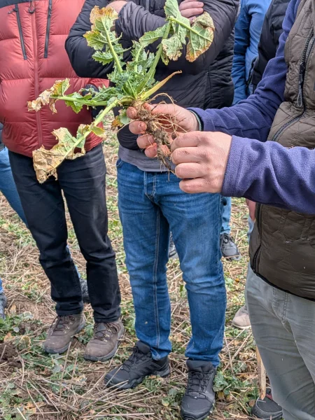 Împreună pentru o agricultură mai inteligentă: participarea SmartAgriChain la evenimentul AIDER